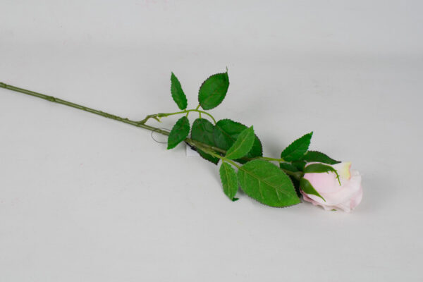 Product image thumbnail