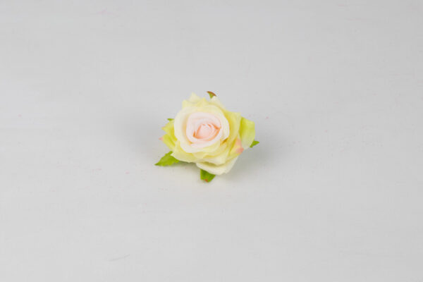 Product image thumbnail