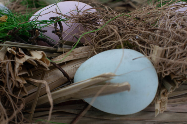 Product image thumbnail