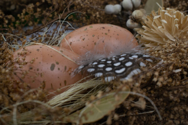 Product image thumbnail