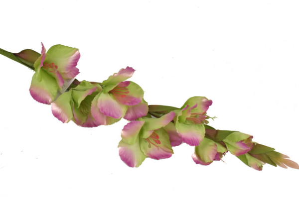Product image thumbnail
