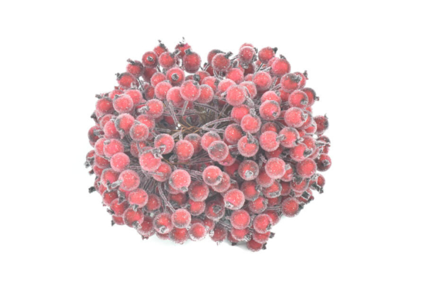 Product image thumbnail