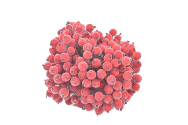 Product image thumbnail