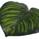 Product image thumbnail