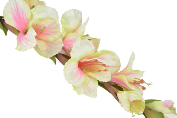 Product image thumbnail