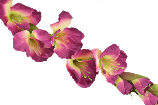 Product image thumbnail