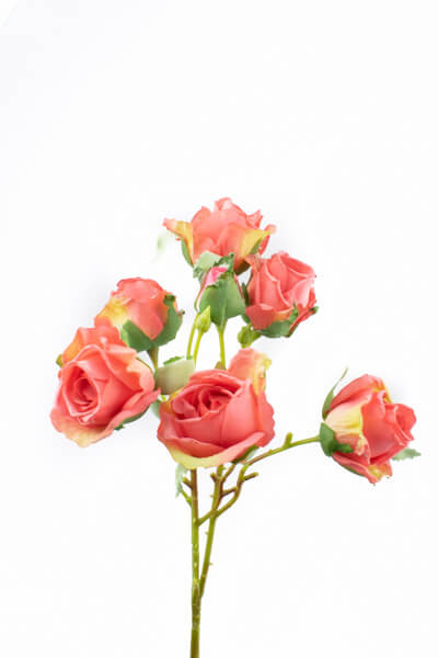 sztuczna roza galazkowa