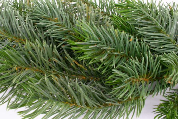 sztuczna gałązka świekowa