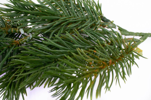 sztuczna gałązka świekowa