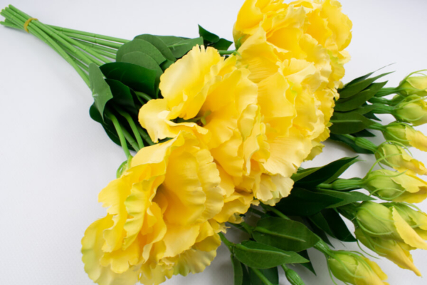 sztuczna eustoma
