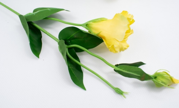 sztuczna eustoma
