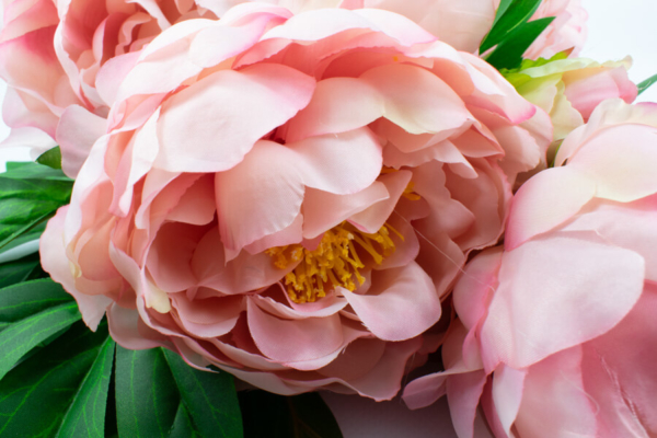 sztuczny bukiet peoni