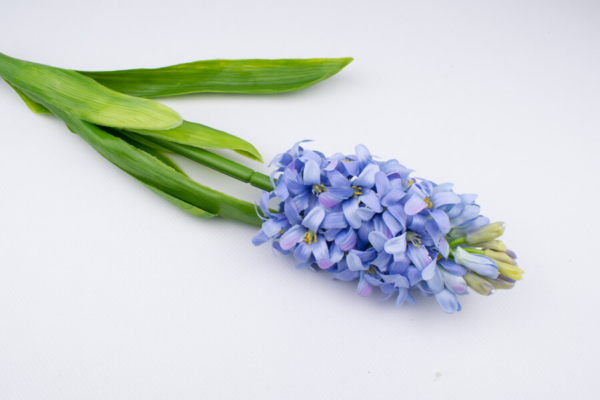 sztuczny hiacynt