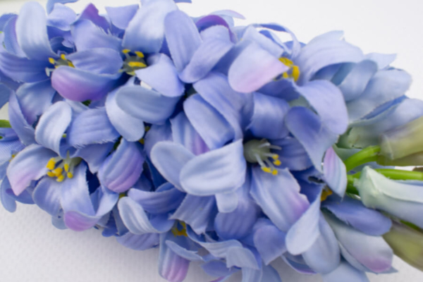 sztuczny hiacynt