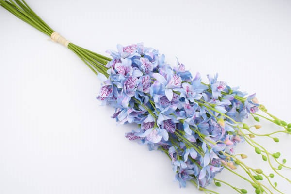 sztuczny storczyk tajlandzki niebieski