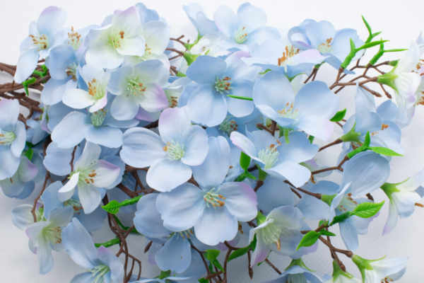 sztuczna jablonka niebieska