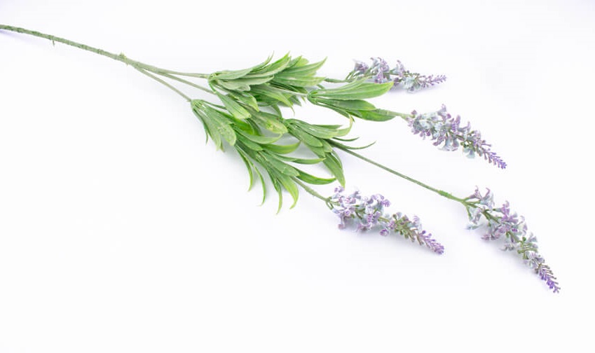 sztuczna lawenda fioletowa