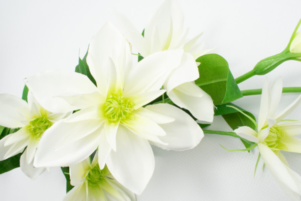 sztuczny klematis galazkowy