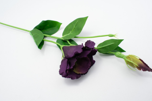 sztuczna eustoma
