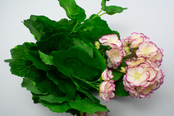 sztuczna pelargonia