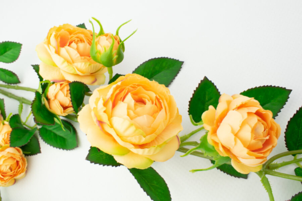 Product image thumbnail