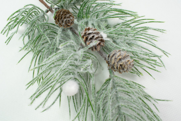 Product image thumbnail