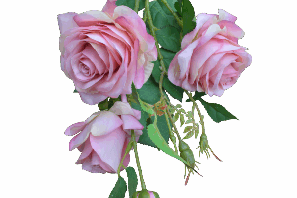 Product image thumbnail