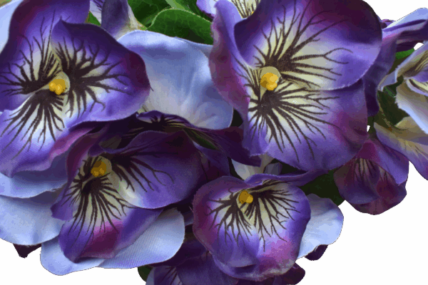 Product image thumbnail