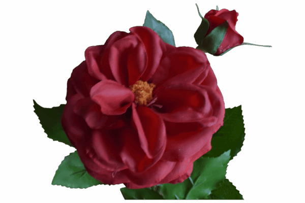 Product image thumbnail