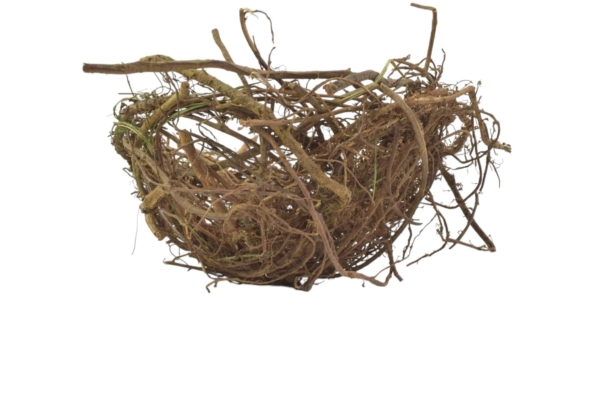 Product image thumbnail