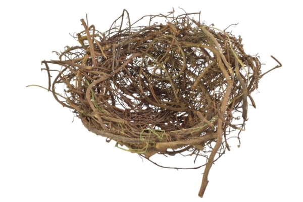 Product image thumbnail