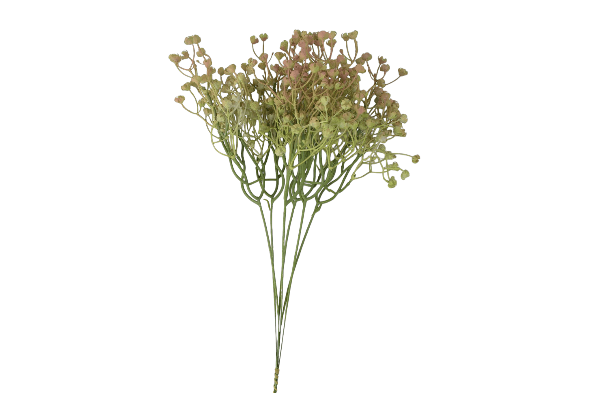 gipsówka na piku