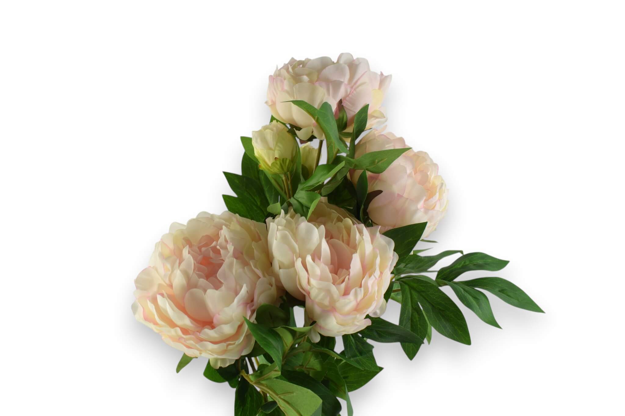 bukiet peonia