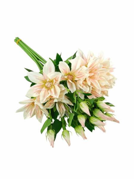 klematis pik