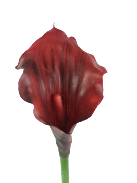 Calla gumowa