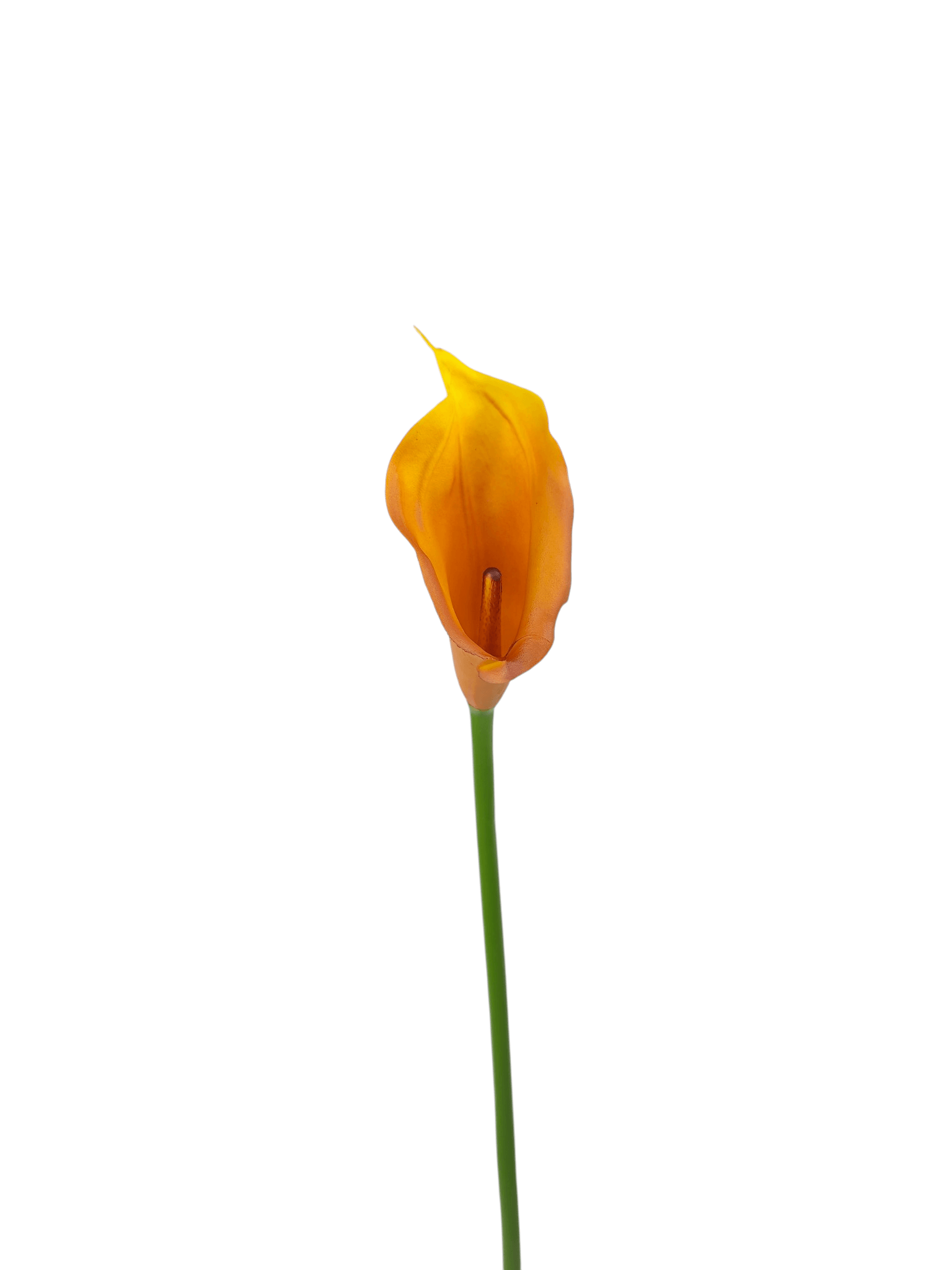 calla