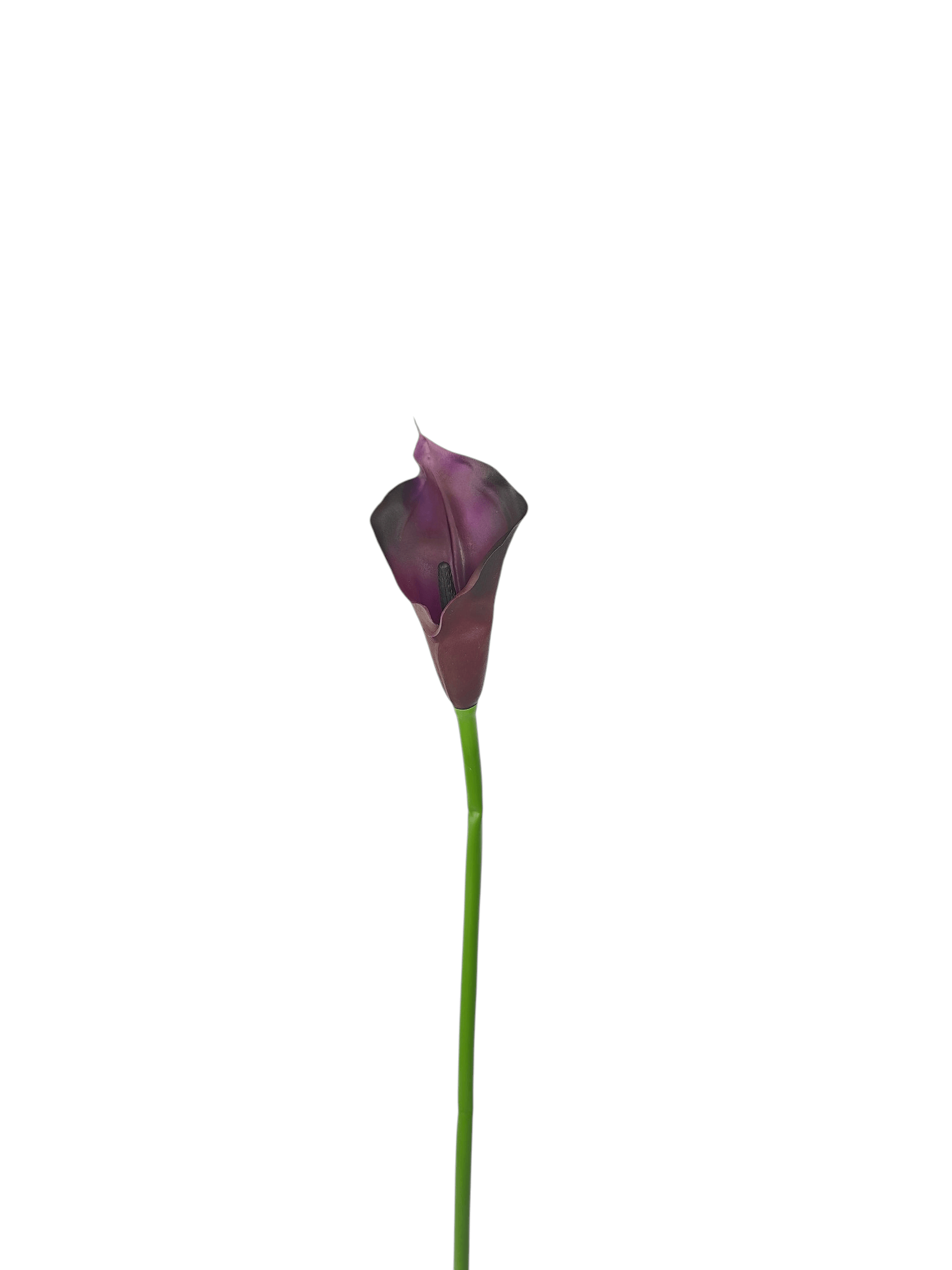 calla