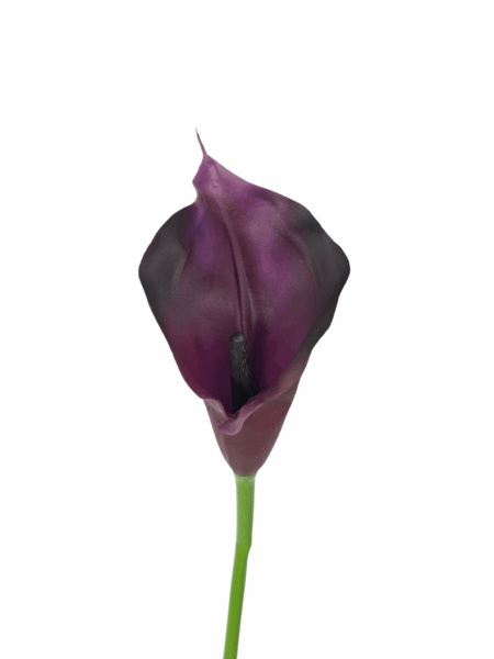 calla
